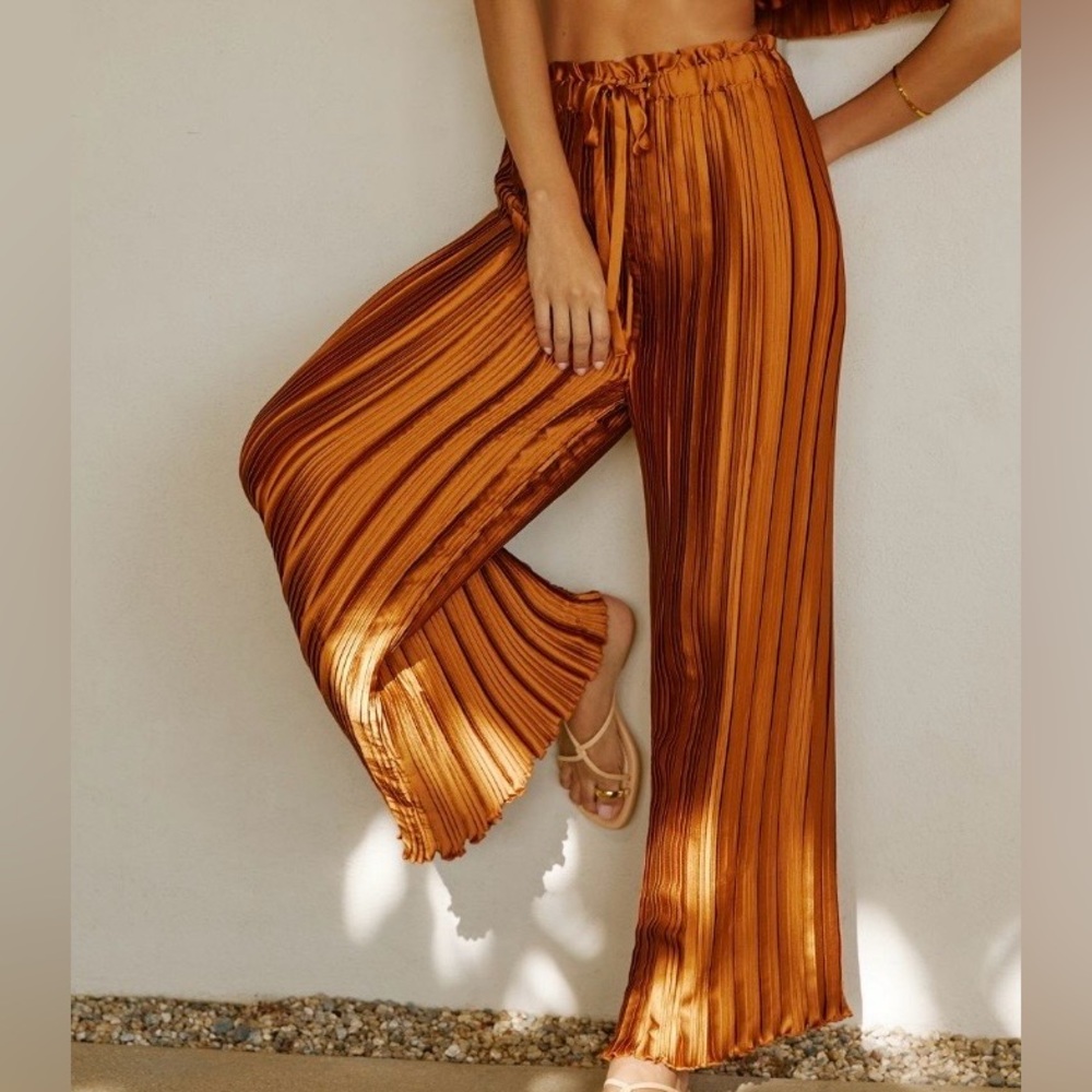 Anthropologie Wide-Leg Pleated Pants in Rust Orange